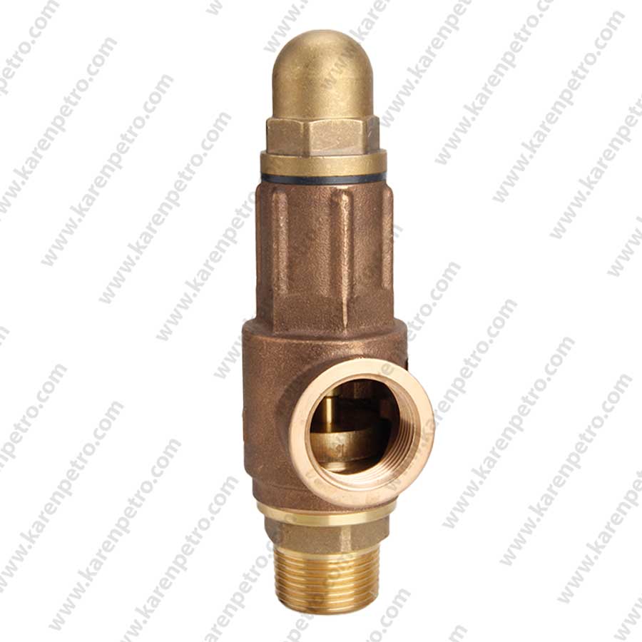 شیر اطمینان برنجی